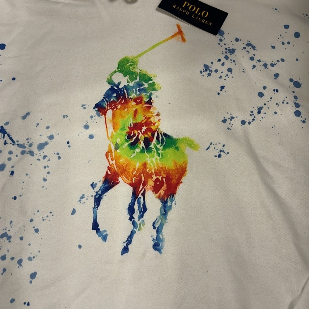 Men’s Polo Ralph Lauren Multicolor Pony Logo Pullover Hoodie - Picture 2 of 4